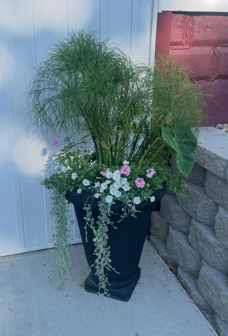 Garden photo