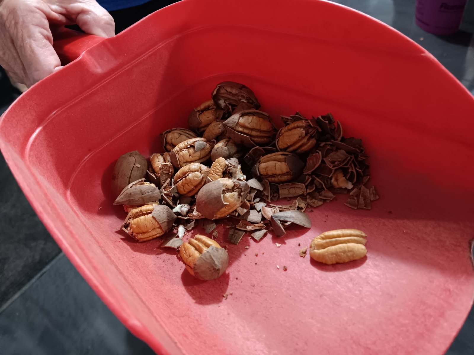 Touring the shelling equipment at Voss Pecan Farm